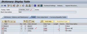 Conversion Routines – SAPCODES