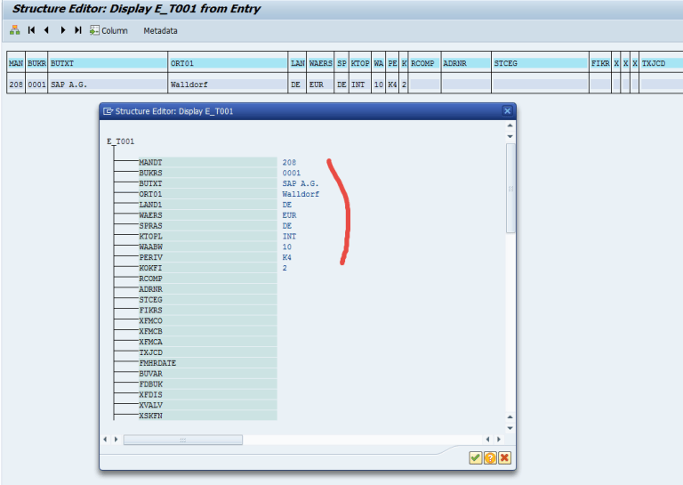 Sapcodes Function Module to Read Company Code Global Data – SAPCODES