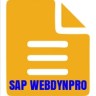 webdynpro